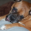 vinnyclements > Demps photo