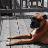 vinnyclements > Demps photo
