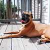 vinnyclements > Demps photo