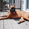 vinnyclements > Demps photo
