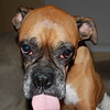 vinnyclements > Demps photo