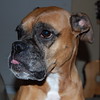 vinnyclements > Demps photo