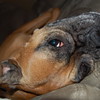 vinnyclements > Demps photo