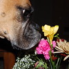 vinnyclements > Demps photo